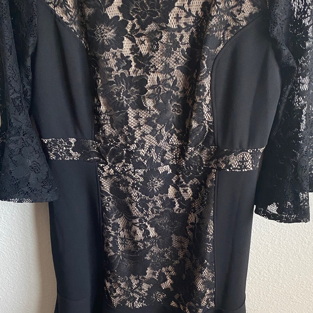 NY Collection Black and Beige Lace Dress - Picture 7 of 11